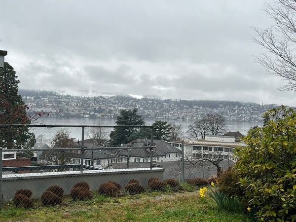 Gartenwohnung mit Seesicht 2