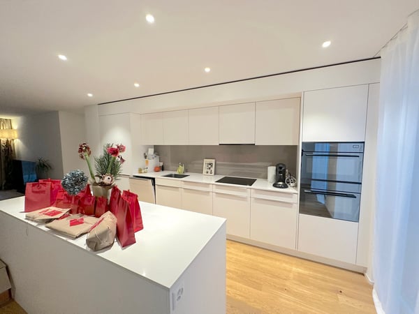 Moderne 1.5-Zimmer-Neubau-Wohnung mit Balkon und Garage in Emmen 3