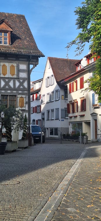 Historisches Mehrfamilienhaus mit Charme und guter Rendite in Arbon 14