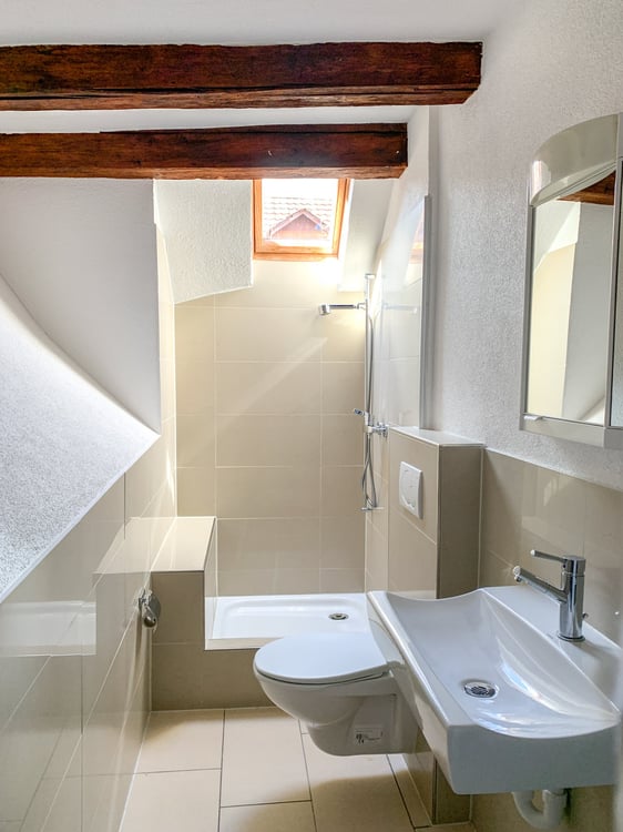 Historisches Mehrfamilienhaus mit Charme und guter Rendite in Arbon 9