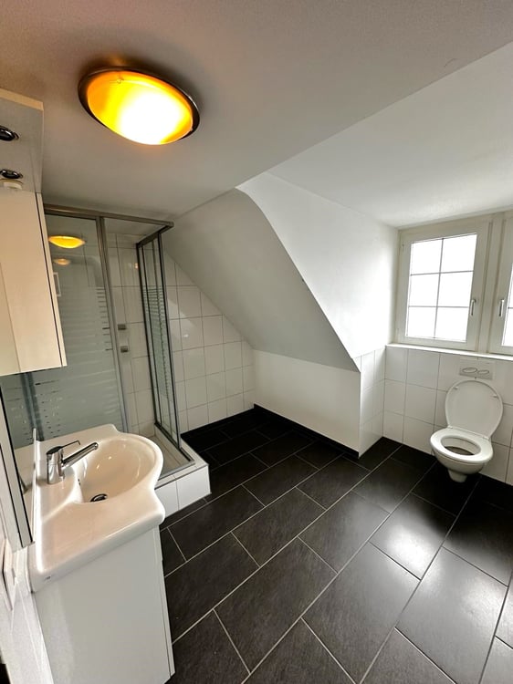 Historisches Mehrfamilienhaus mit Charme und guter Rendite in Arbon 11