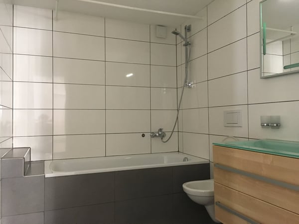 Historisches Mehrfamilienhaus mit Charme und guter Rendite in Arbon 7