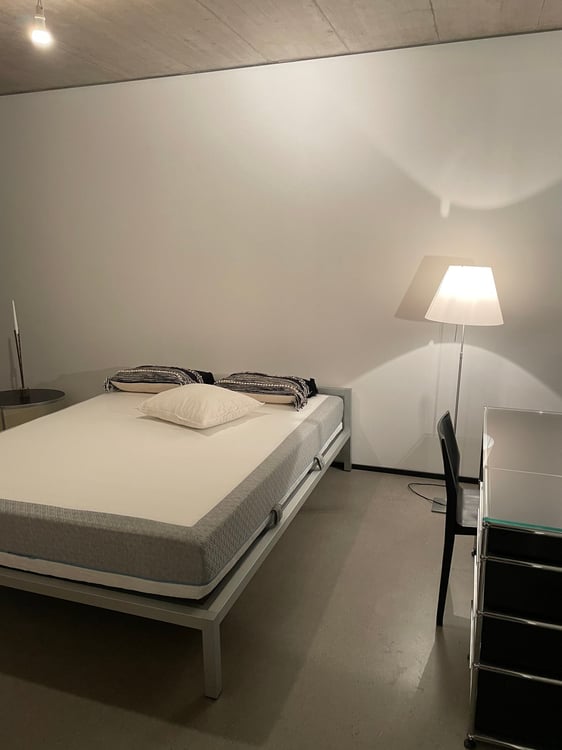 1 1/1 Zimmerwohnung-Kreis 5, Schiffbaustrasse 7, möbliert, unbefristet (auf Wunsch auch unmöbliert) 4