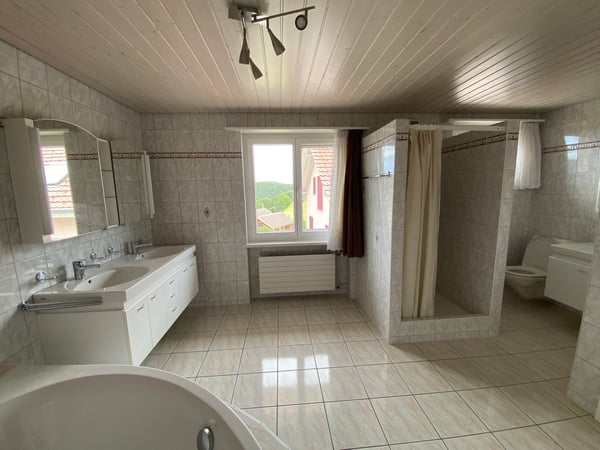 1-Zimmer Einfamilienhaus in Nuglar 11