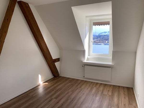 Charmante 1-Zimmer-Wohnung mit Seeblick in Luzern 4