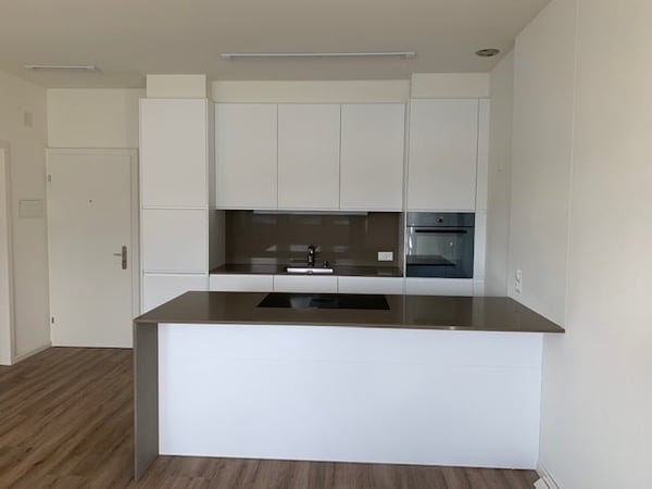 Charmante 1-Zimmer-Wohnung mit Seeblick in Luzern 2