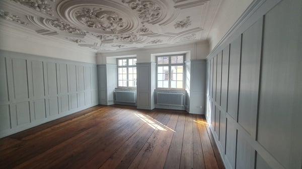 Historische 1.5-Zimmer-Duplex-Wohnung in der Schaffhauser Altstadt 5