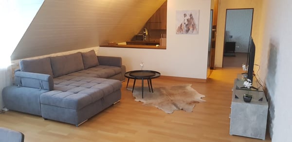 Möbliertes Studio in Olten 5