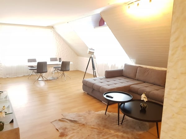 Möbliertes Studio in Olten 6