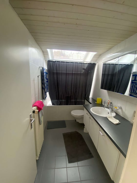 Charmante 1-Zimmer-Dachwohnung mit Blick auf Pilatus 5