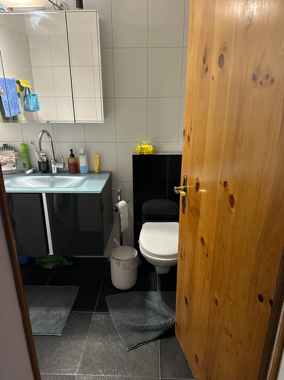 Gelegenheit 1.5-Zimmer-Wohnung mit Garten in Chur 6