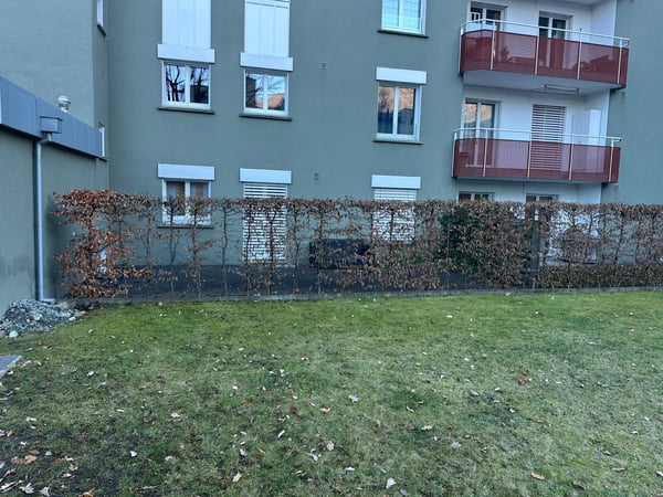 Gelegenheit 1.5-Zimmer-Wohnung mit Garten in Chur 2