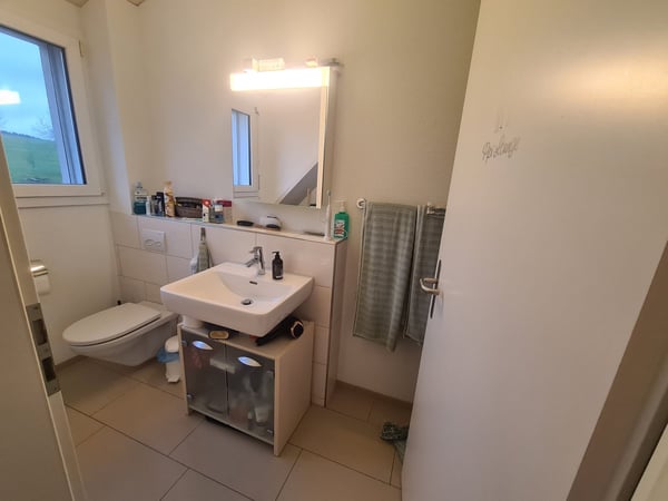 Moderne 1.5-Zimmer-Dachwohnung in ruhiger Lage von Hauptikon 5