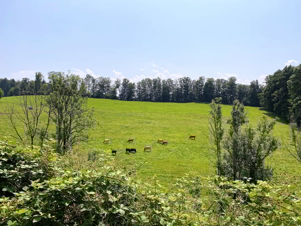 Moderne 2.5 Zimmer Wohnung mit Aussicht ins Grüne 12