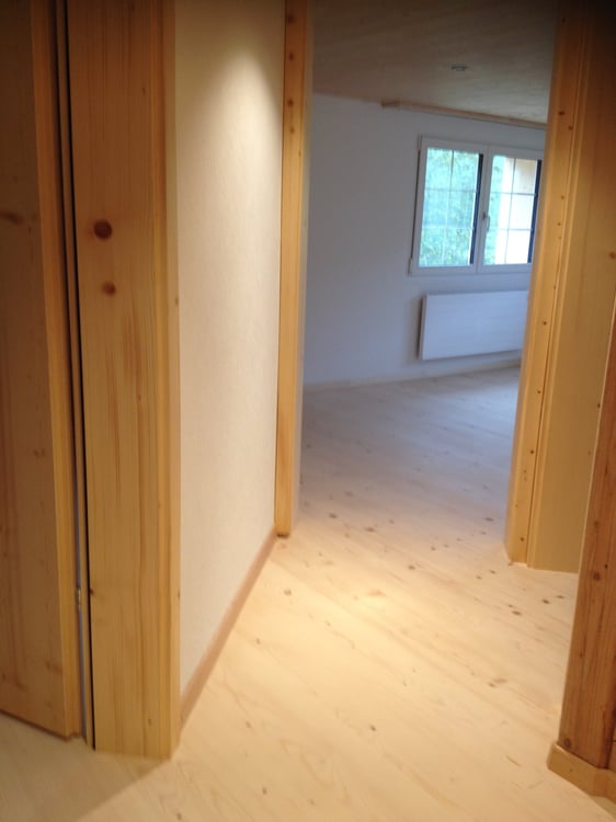 Charmante 1.5-Zimmer-Wohnung in ruhiger Lage in Wattwil 5