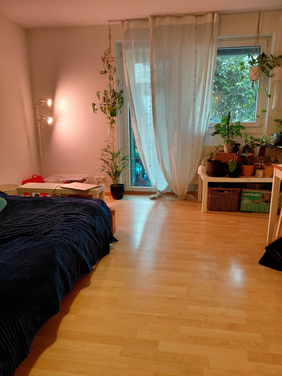 Gemütliche 2-Zimmer-Wohnung mit Garten in Zürich Oerlikon 1