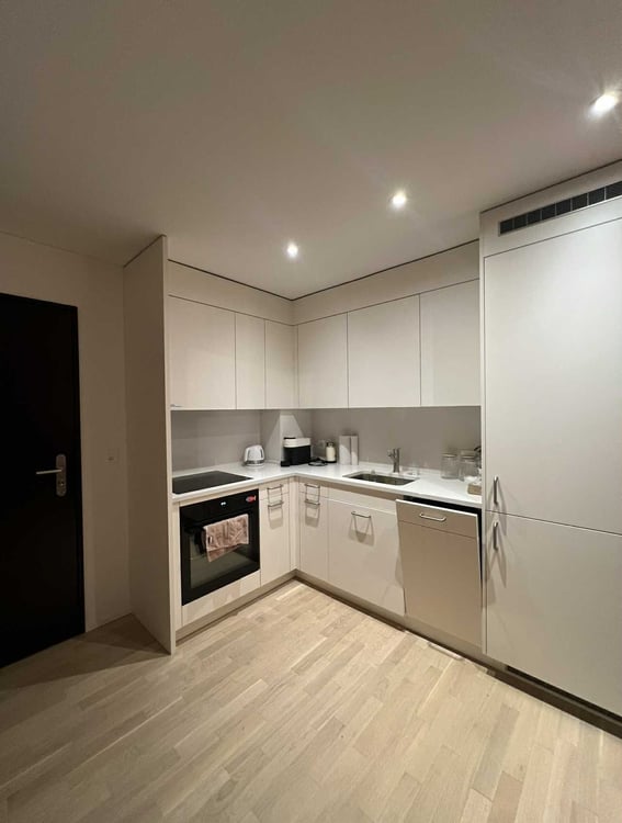 Moderne 1.5-Zimmer-Wohnung mit Balkon und Garage in Zürich Altstetten 2