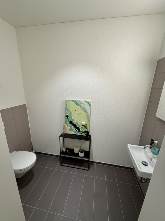 Moderne 1.5-Zimmer-Maisonette-Wohnung an der Limmat 3