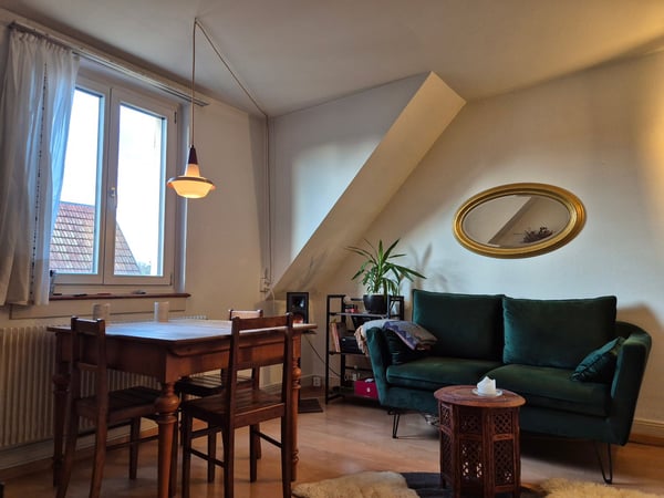 Heimelige 1-Zimmer-Altbauwohnung im inneren Lind 2