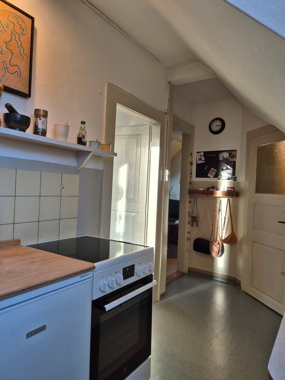 Heimelige 1-Zimmer-Altbauwohnung im inneren Lind 4