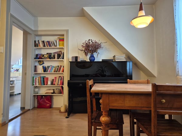 Heimelige 1-Zimmer-Altbauwohnung im inneren Lind 3