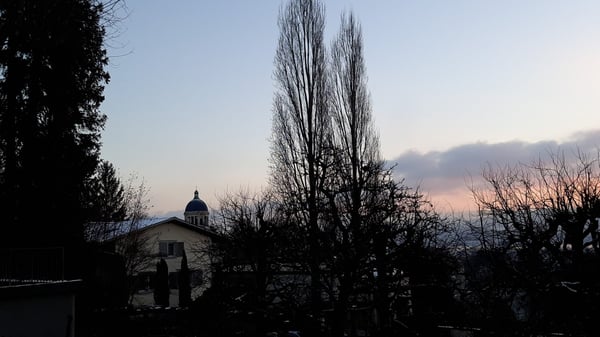 Einzigartige 1½-Zimmer-Altbauwohnung mit Wintergarten, Rundbibliothek, 270°-Panoramasicht & Garten 69