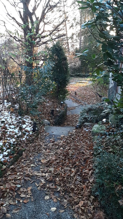 Einzigartige 1½-Zimmer-Altbauwohnung mit Wintergarten, Rundbibliothek, 270°-Panoramasicht & Garten 66