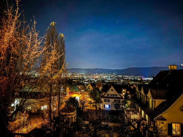 Einzigartige 1½-Zimmer-Altbauwohnung mit Wintergarten, Rundbibliothek, 270°-Panoramasicht & Garten 3