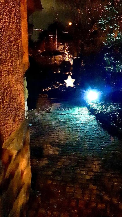 Einzigartige 1½-Zimmer-Altbauwohnung mit Wintergarten, Rundbibliothek, 270°-Panoramasicht & Garten 53