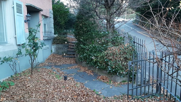 Einzigartige 1½-Zimmer-Altbauwohnung mit Wintergarten, Rundbibliothek, 270°-Panoramasicht & Garten 67