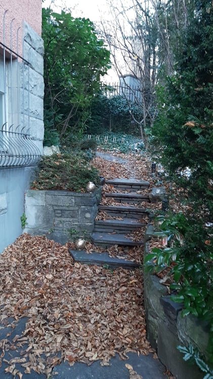 Einzigartige 1½-Zimmer-Altbauwohnung mit Wintergarten, Rundbibliothek, 270°-Panoramasicht & Garten 68