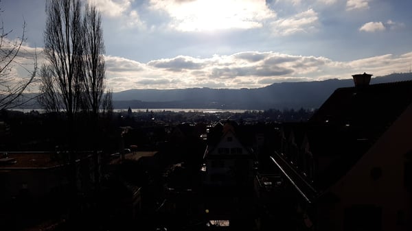 Einzigartige 1½-Zimmer-Altbauwohnung mit Wintergarten, Rundbibliothek, 270°-Panoramasicht & Garten 70