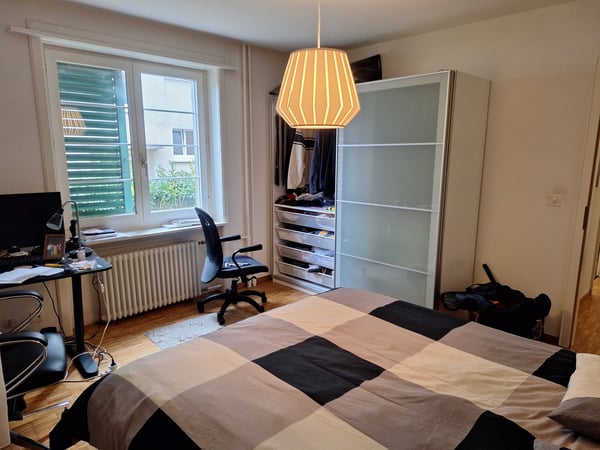 Charming 1-Room Ground Floor Apartment in Zürich Altstetten 3