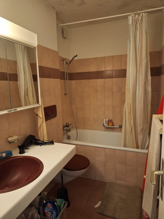 Charming 1-Room Ground Floor Apartment in Zürich Altstetten 2