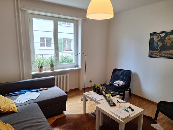 Charming 1-Room Ground Floor Apartment in Zürich Altstetten 5