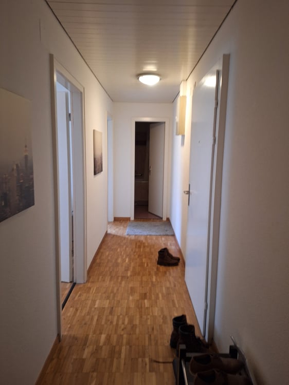 Charming 1-Room Ground Floor Apartment in Zürich Altstetten 4