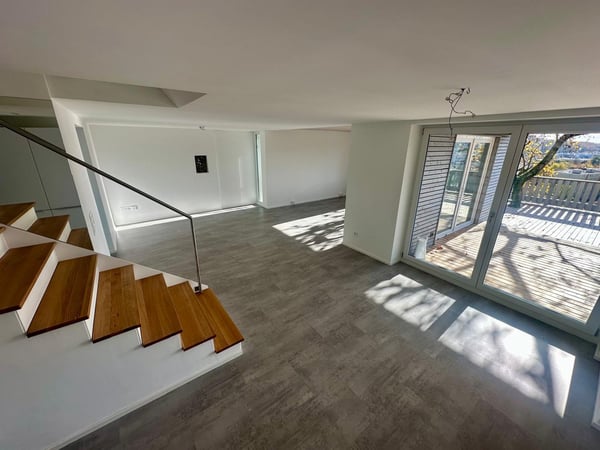 Modernes, freistehendes 1.5-Zimmer-Terrassenhaus mit Weitsicht in ruhiger Lage Schaffhausen 6