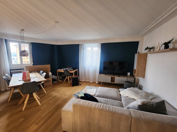 Stylish 1.5-Room Furnished Apartment in Basel 3