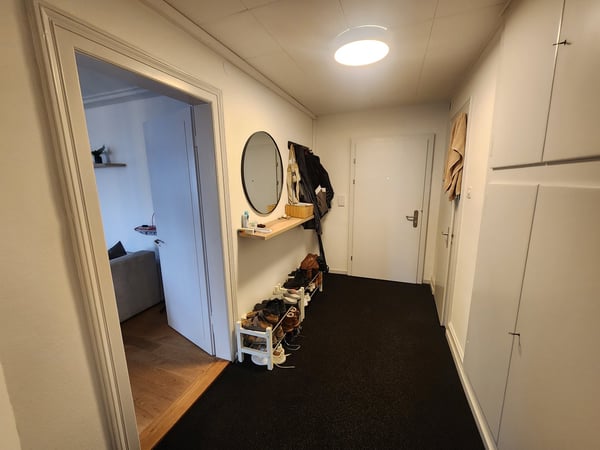 Stylish 1.5-Room Furnished Apartment in Basel 5