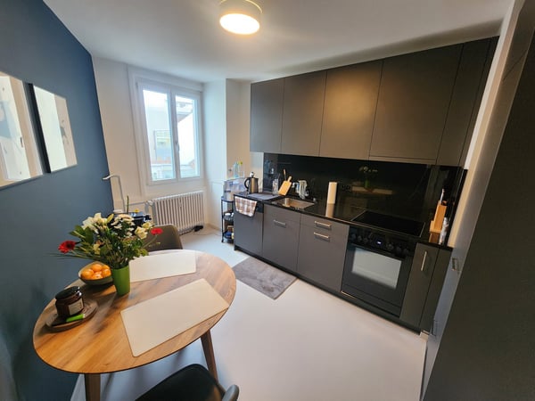 Stylish 1.5-Room Furnished Apartment in Basel 2