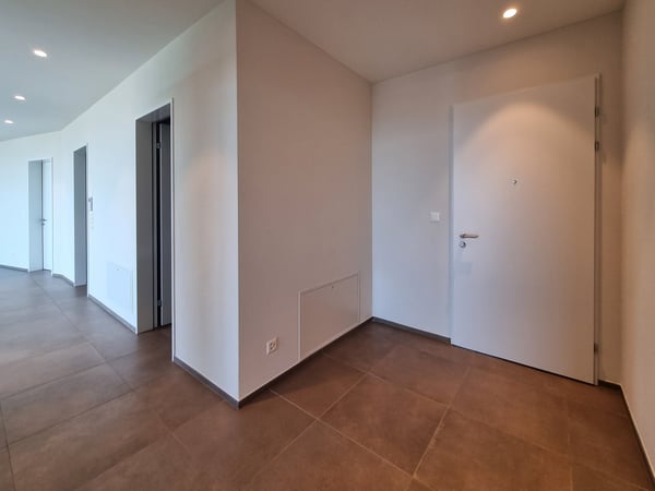 Terrassenwohnung an Top Panorama Lage mit unverbaubarer Berg- und Seesicht 25