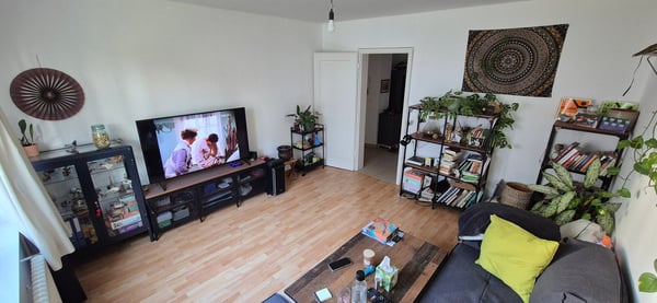 Wohnen in der Nähe der Birs 2