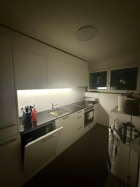 Modern & Functional 1-Rooms Apartment in Zurich Oerlikon 5