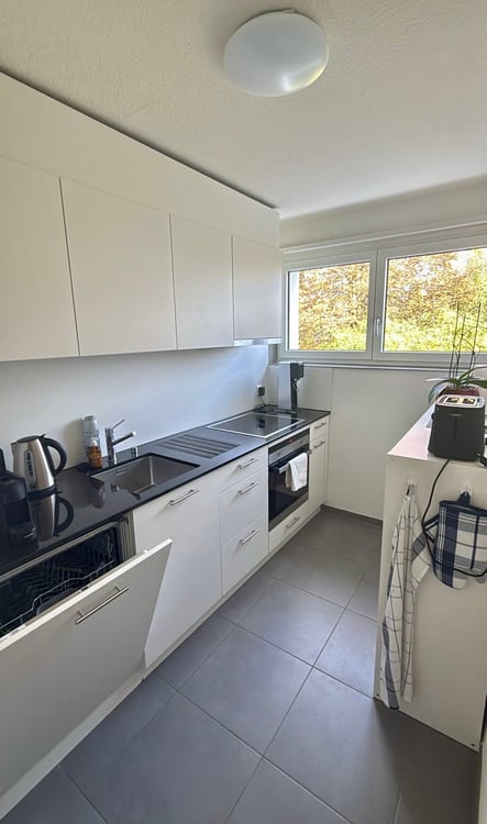 Modern & Functional 1-Rooms Apartment in Zurich Oerlikon 4