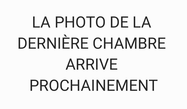 Grand appartement de 1.5 pièces idéalement situé à Renens 4