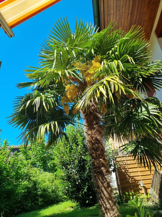 Grosszügig und familienfreundlich 5