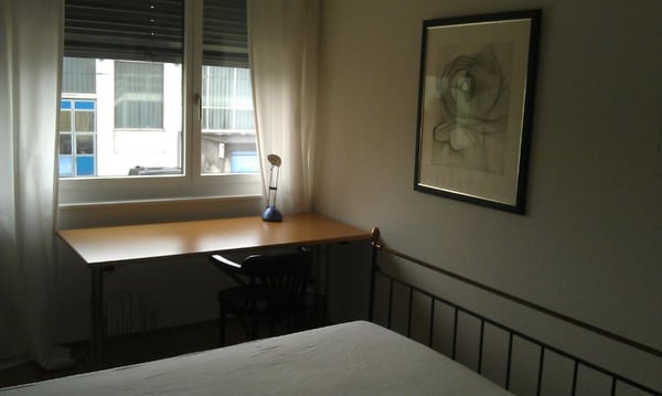 Möbliertes 1.5-Zimmer-Apart. im Zentrum am See / Furnished 1.5 rooms in the city center by the lake 13