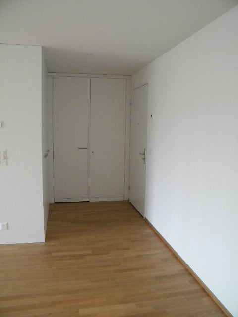 Möbliertes 1.5-Zimmer-Apart. im Zentrum am See / Furnished 1.5 rooms in the city center by the lake 14