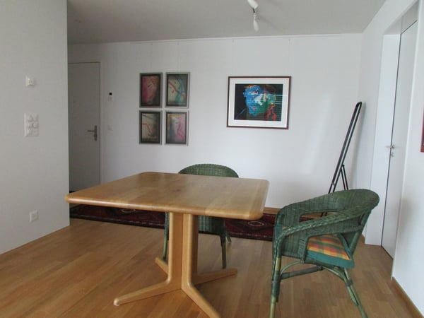 Möbliertes 1.5-Zimmer-Apart. im Zentrum am See / Furnished 1.5 rooms in the city center by the lake 3