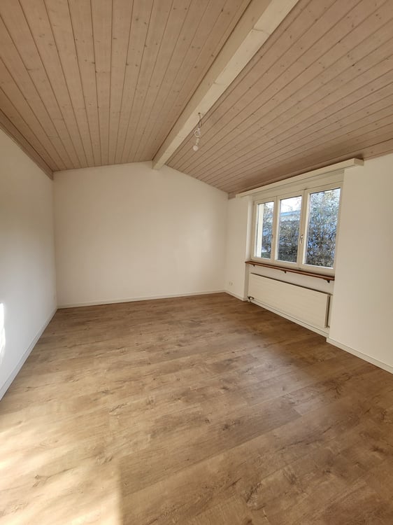 Grosse 1.5-Zimmer-Wohnung (EG) in 2-Fam.-Haus in Frick 2